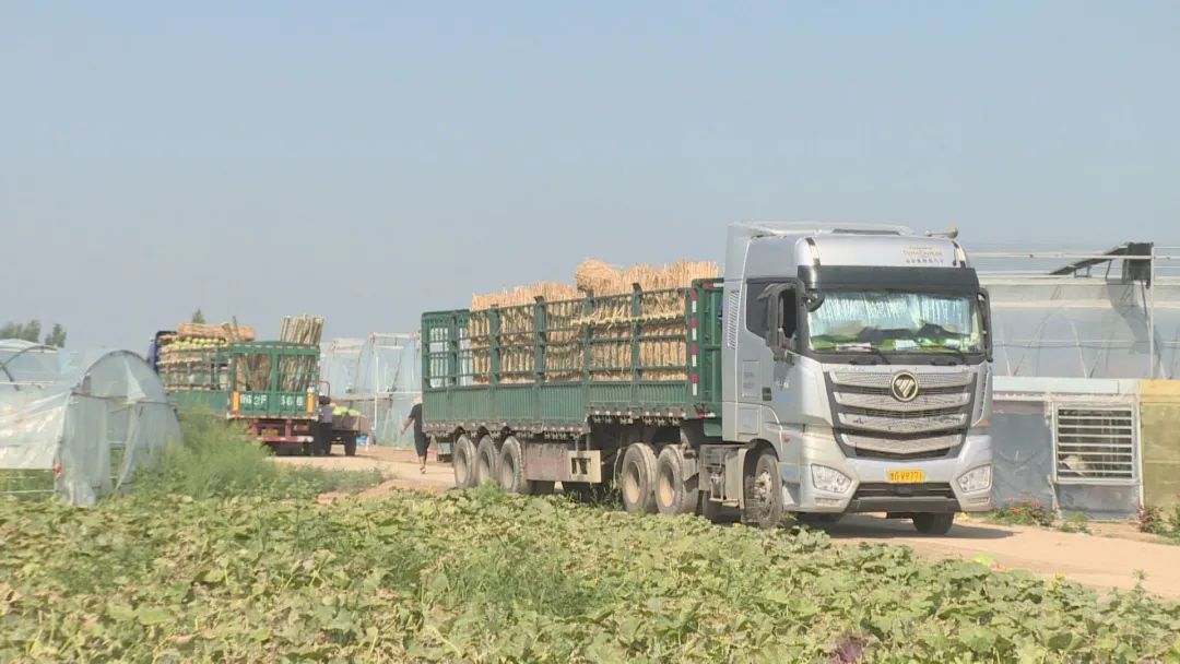 1660011458298087667.jpg 1.jpg