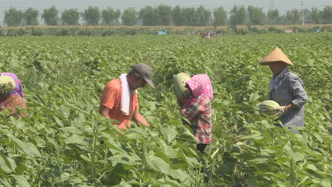 1660011484405049712.jpg 3.jpg