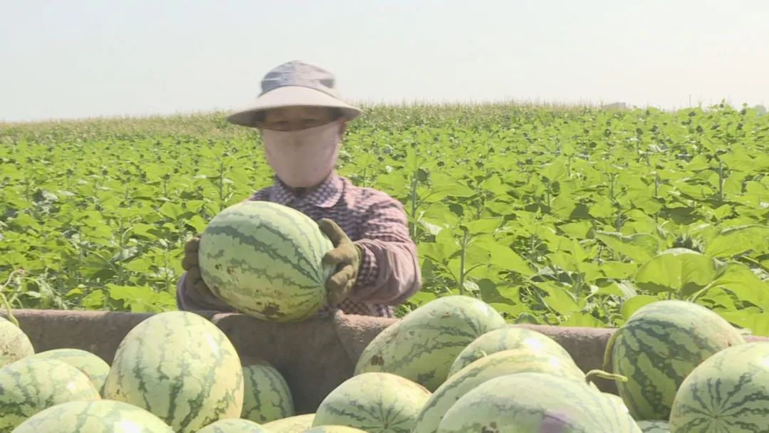 1660011639202020268.jpg 4.jpg